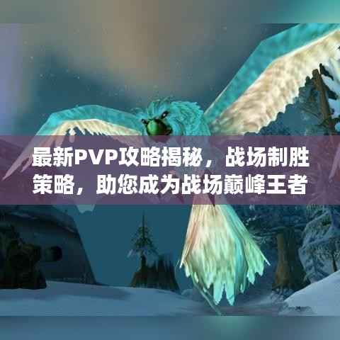 最新PVP攻略揭秘,战场制胜策略,助您成为战场巅峰王者!