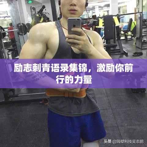 励志刺青语录集锦,激励你前行的力量