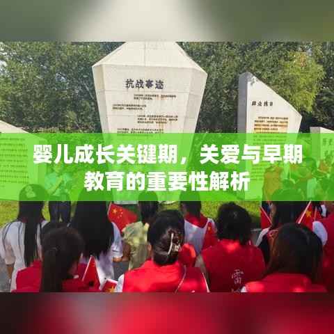 婴儿成长关键期,关爱与早期教育的重要性解析