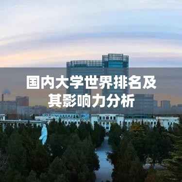 国内大学世界排名及其影响力分析