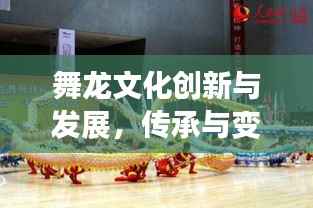 舞龙文化创新与发展,传承与变革的魅力展现