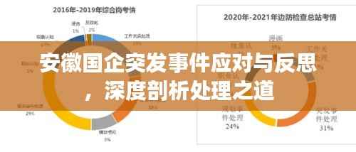 安徽国企突发事件应对与反思,深度剖析处理之道