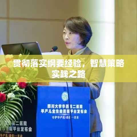 贯彻落实纲要经验,智慧策略实践之路