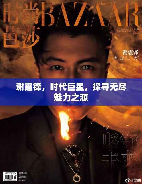 谢霆锋,时代巨星,探寻无尽魅力之源