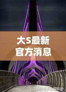 大S最新官方消息今日发布,令人瞩目的最新动态报告