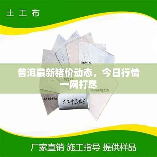 普洱最新猪价动态,今日行情一网打尽