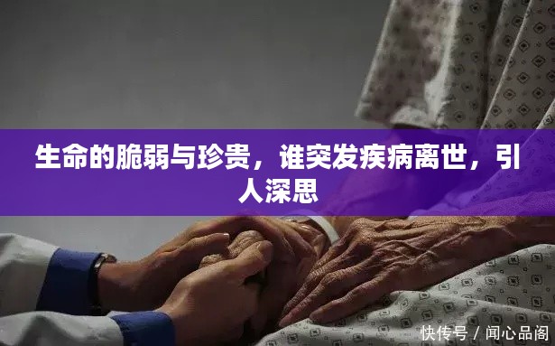 生命的脆弱与珍贵,谁突发疾病离世,引人深思