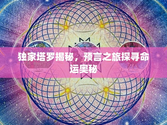 独家塔罗揭秘,预言之旅探寻命运奥秘