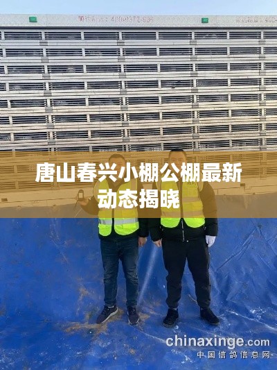 fengmaolinjue 第7页