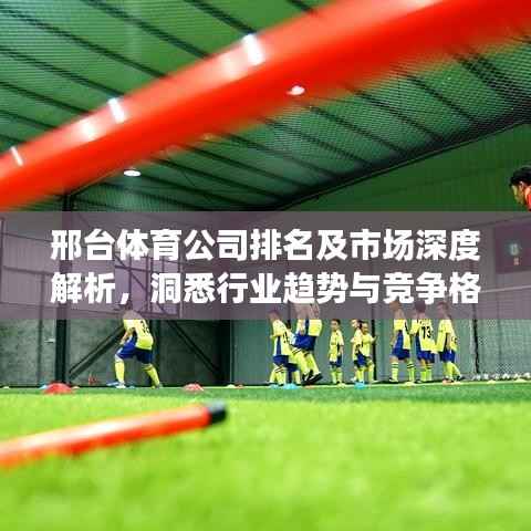 邢台体育公司排名及市场深度解析,洞悉行业趋势与竞争格局