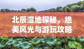 北辰湿地探秘,绝美风光与游玩攻略!