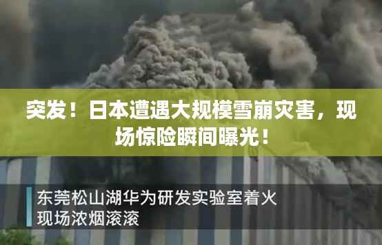 突发!日本遭遇大规模雪崩灾害,现场惊险瞬间曝光!