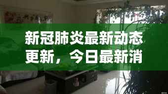 新冠肺炎最新动态更新,今日最新消息汇总