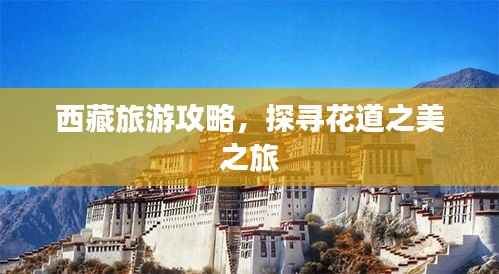 西藏旅游攻略,探寻花道之美之旅