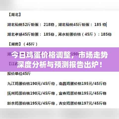 今日鸡蛋价格调整,市场走势深度分析与预测报告出炉!