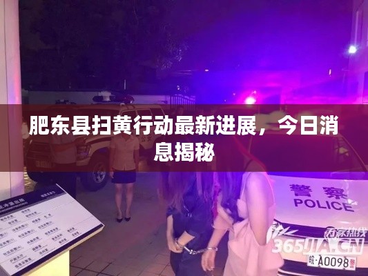 肥东县扫黄行动最新进展,今日消息揭秘