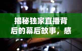 揭秘独家直播背后的幕后故事,感受艺术创作瞬间辉煌,幕后创作揭秘