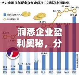 洞悉企业盈利奥秘,分红排名与投资回报分析!
