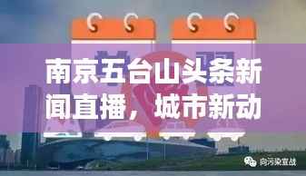 南京五台山头条新闻直播,城市新动向与文化脉搏实时传递