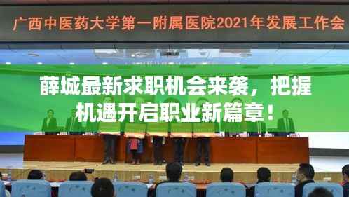 薛城最新求职机会来袭,把握机遇开启职业新篇章!