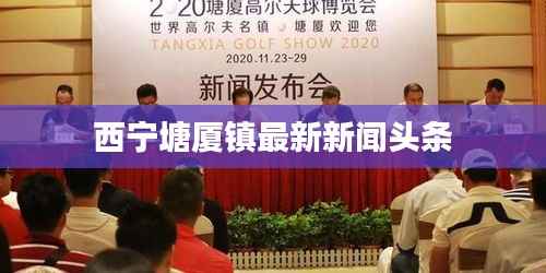 西宁塘厦镇最新新闻头条