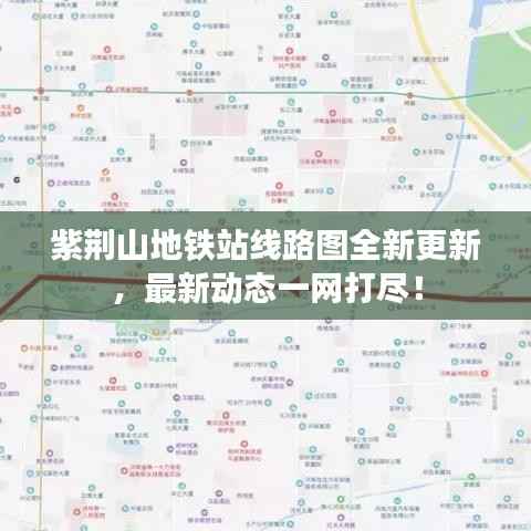 紫荆山地铁站线路图全新更新,最新动态一网打尽!