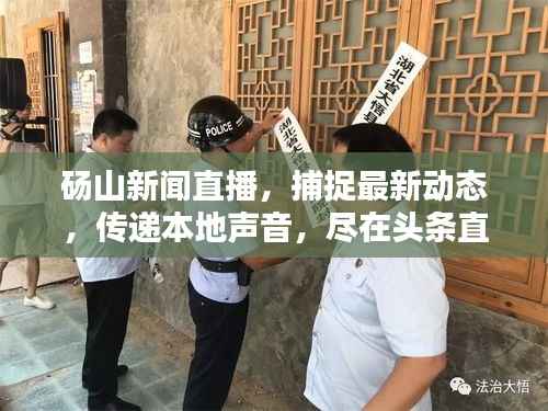 砀山新闻直播,捕捉最新动态,传递本地声音,尽在头条直播