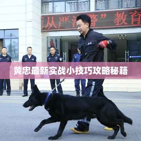 黄忠最新实战小技巧攻略秘籍