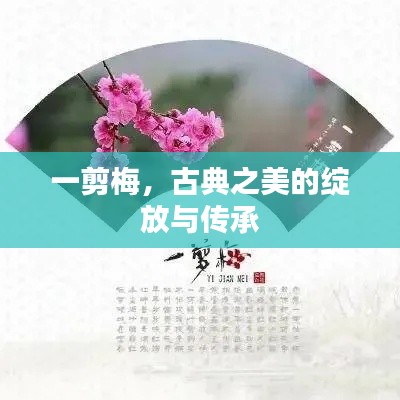 一剪梅,古典之美的绽放与传承