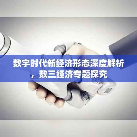 数字时代新经济形态深度解析,数三经济专题探究