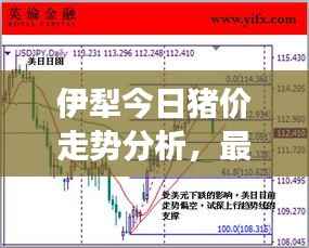 伊犁今日猪价走势分析,最新行情解读