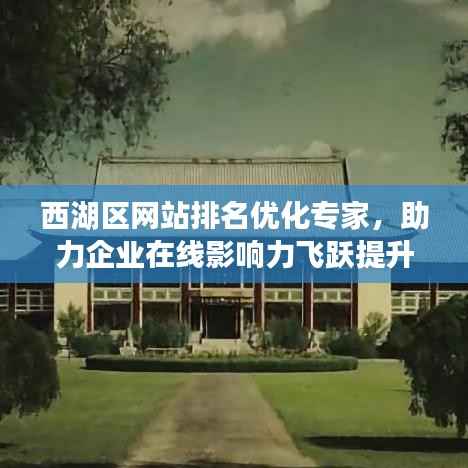 西湖区网站排名优化专家,助力企业在线影响力飞跃提升