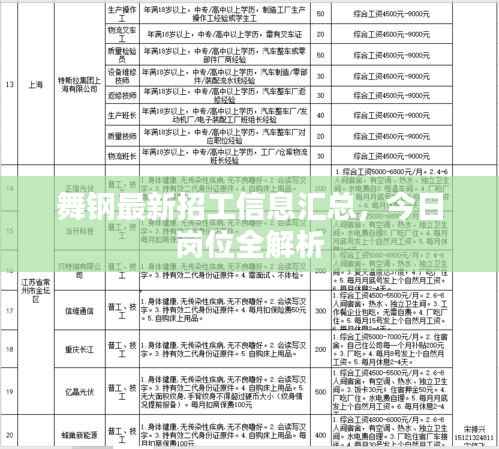 舞钢最新招工信息汇总,今日岗位全解析