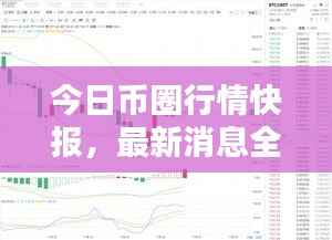 今日币圈行情快报,最新消息全面解析