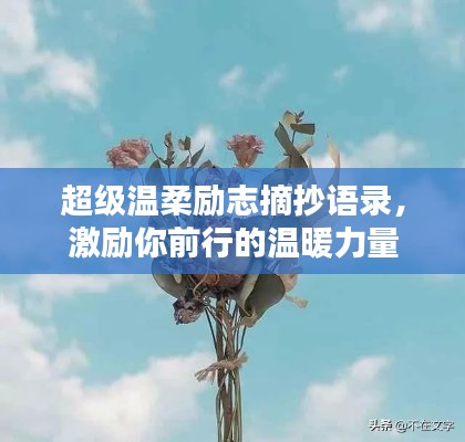 超级温柔励志摘抄语录,激励你前行的温暖力量