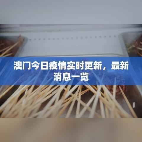 澳门今日疫情实时更新,最新消息一览