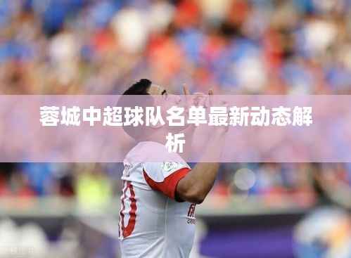 蓉城中超球队名单最新动态解析