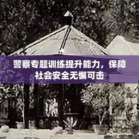 警察专题训练提升能力,保障社会安全无懈可击