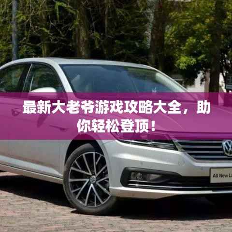 最新大老爷游戏攻略大全,助你轻松登顶!
