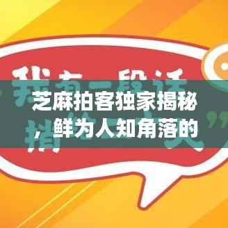 芝麻拍客独家揭秘,鲜为人知角落的惊人秘密