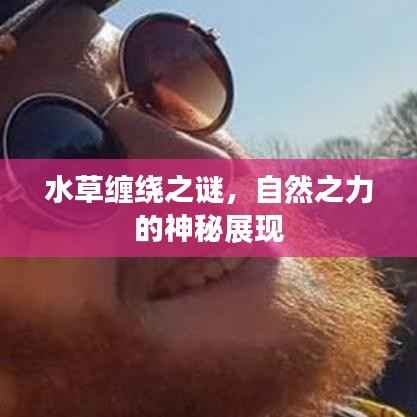 huanchunfanpu 第5页