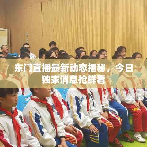 东门直播最新动态揭秘,今日独家消息抢鲜看