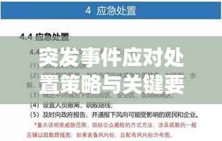 突发事件应对处置策略与关键要素解析