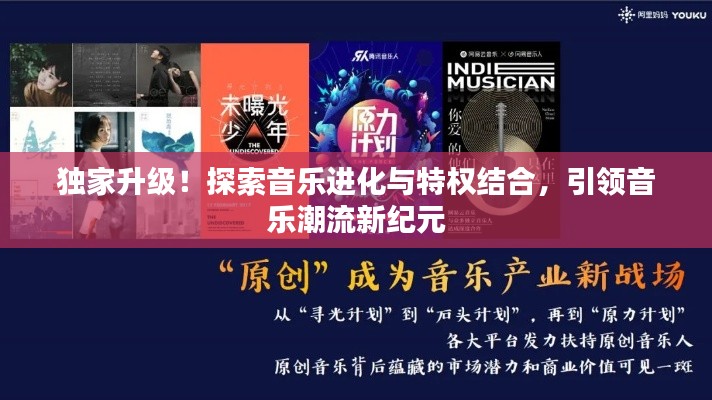 独家升级!探索音乐进化与特权结合,引领音乐潮流新纪元