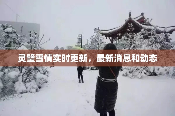 灵璧雪情实时更新,最新消息和动态
