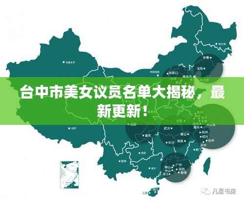 台中市美女议员名单大揭秘，最新更新！