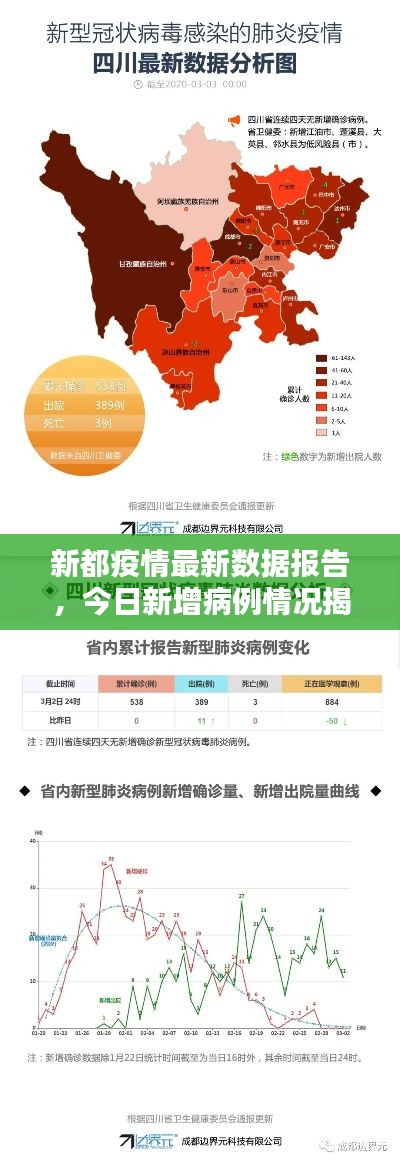 新都疫情最新数据报告，今日新增病例情况揭秘