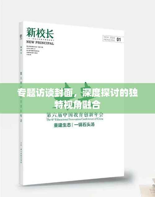 专题访谈封面,深度探讨的独特视角融合