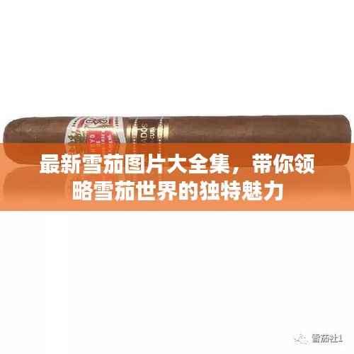 jiguangpianyu 第4页