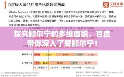 探究顺尔宁的多维面貌,百度带你深入了解顺尔宁!